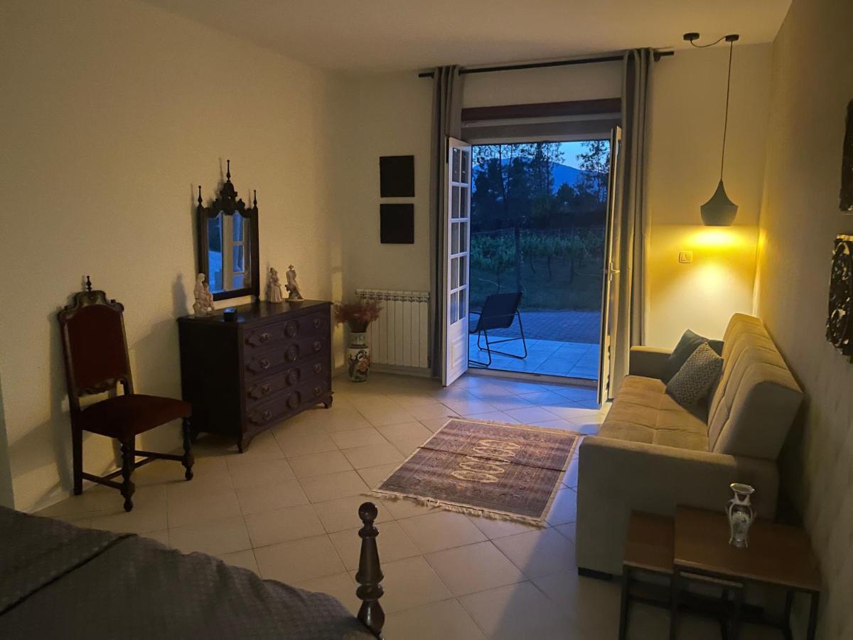 Quinta Da Paixao - Bed & Breakfast Pedraca Экстерьер фото