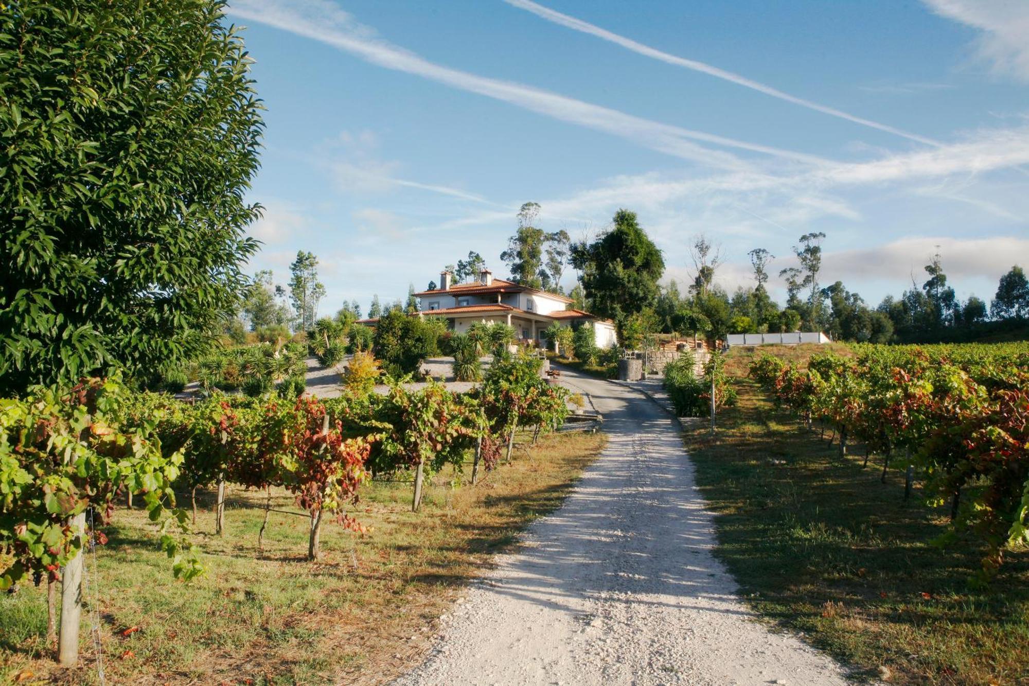 Quinta Da Paixao - Bed & Breakfast Pedraca Экстерьер фото